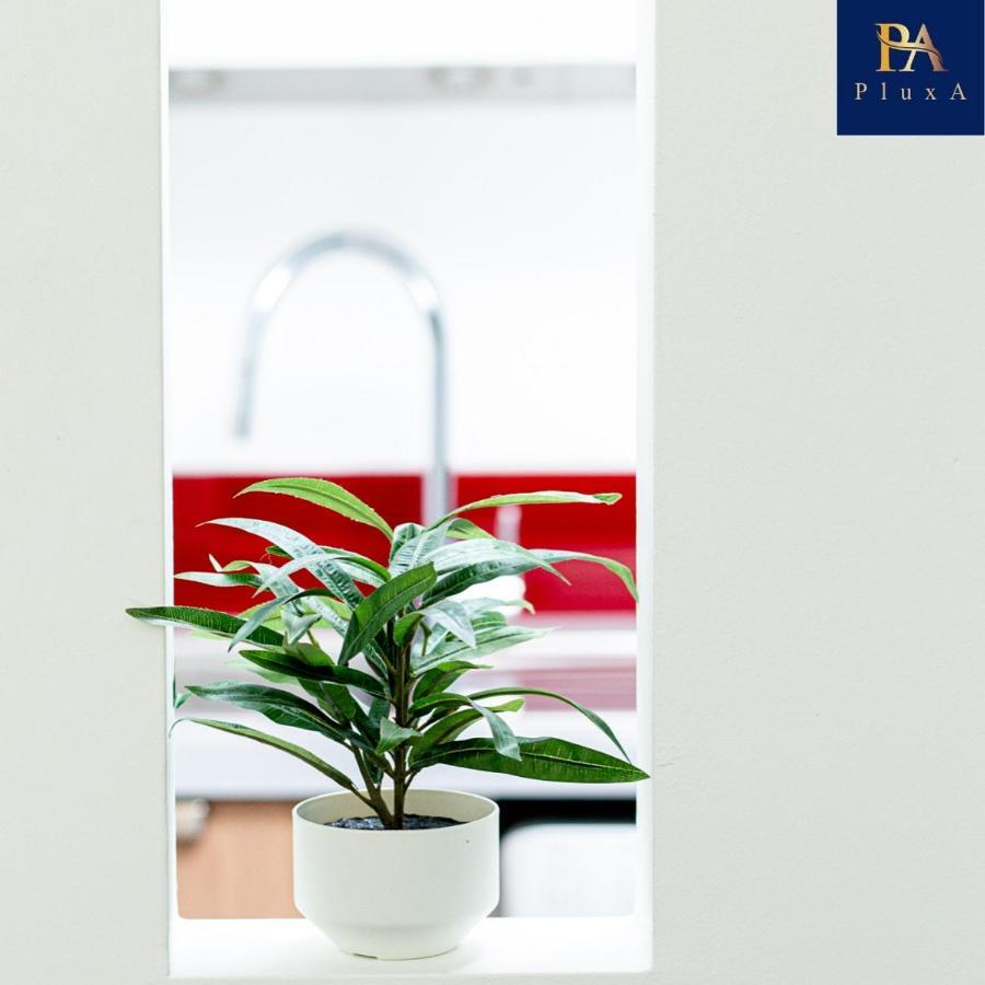 Pluxa Vivid Veranda Beautiful City Centre Apartment With Free Parking Birmingham Exterior photo